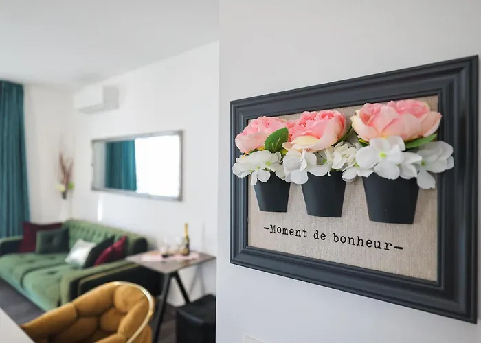 Amfora * Ζαντάρ